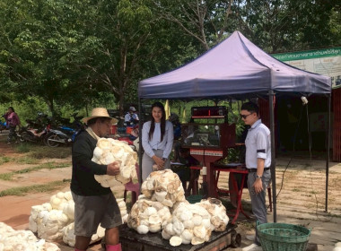 ติดตามการดำเนินธุรกิจรวบรวมยางพารา ... พารามิเตอร์รูปภาพ 1